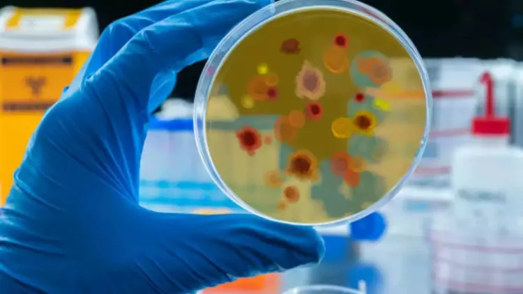 Rajouri mysterious disease, Badal village deaths, GMC Rajouri, Jammu Kashmir health crisis, containment zone Rajouri, Union Home Ministry investigation, forensic team Chandigarh, neurological damage disease, Rajouri health news, mysterious illness in Jammu, toxic elements in Rajouri, Rajouri disease death toll, Omar Abdullah statement, Kotranka health crisis.