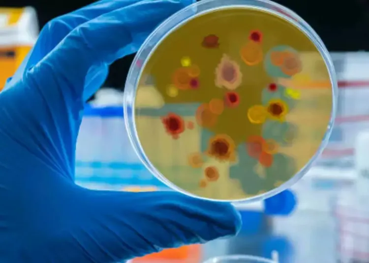 Rajouri mysterious disease, Badal village deaths, GMC Rajouri, Jammu Kashmir health crisis, containment zone Rajouri, Union Home Ministry investigation, forensic team Chandigarh, neurological damage disease, Rajouri health news, mysterious illness in Jammu, toxic elements in Rajouri, Rajouri disease death toll, Omar Abdullah statement, Kotranka health crisis.