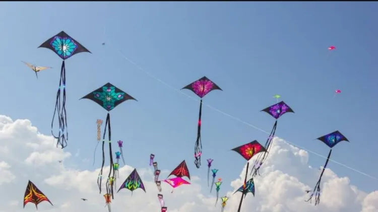 Punjab Bans Kites: बसंत त्योहार पर पतंग उड़ाने पर स्थायी प्रतिबंध 1 Punjab Kite Ban, बसंत त्योहार प्रतिबंध, Basant Festival, Kite Flying Prohibition, पतंग उड़ाने पर जुर्माना, Kite Flying Penalties, Lahore Kite Ban, पंजाब विधानसभा, Punjab Assembly, मुजतबा शुजा-उर-रहमान, Mujtaba Shuja-ur-Rehman, सुरक्षा कदम, Safety Measures, पाकिस्तानी संस्कृति, Pakistani Culture.