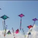Punjab Kite Ban, बसंत त्योहार प्रतिबंध, Basant Festival, Kite Flying Prohibition, पतंग उड़ाने पर जुर्माना, Kite Flying Penalties, Lahore Kite Ban, पंजाब विधानसभा, Punjab Assembly, मुजतबा शुजा-उर-रहमान, Mujtaba Shuja-ur-Rehman, सुरक्षा कदम, Safety Measures, पाकिस्तानी संस्कृति, Pakistani Culture.