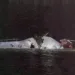 #planecrash