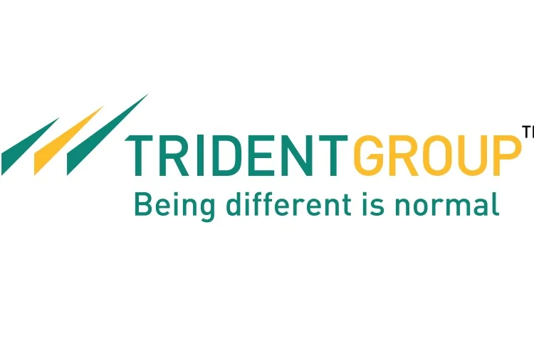 trident group barnala