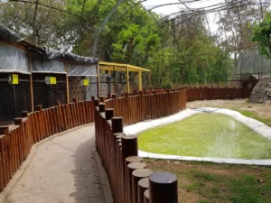 Chhatbir Zoo