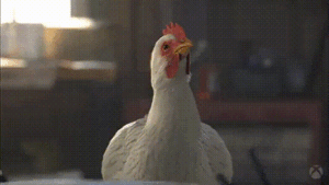 Bird Flu Alert