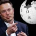 Elon Musk on Wikipedia