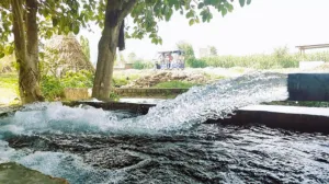 Punjab Water