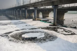 Yamuna