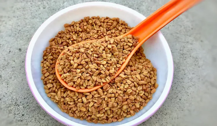 Fenugreek Seeds For Weight Loss