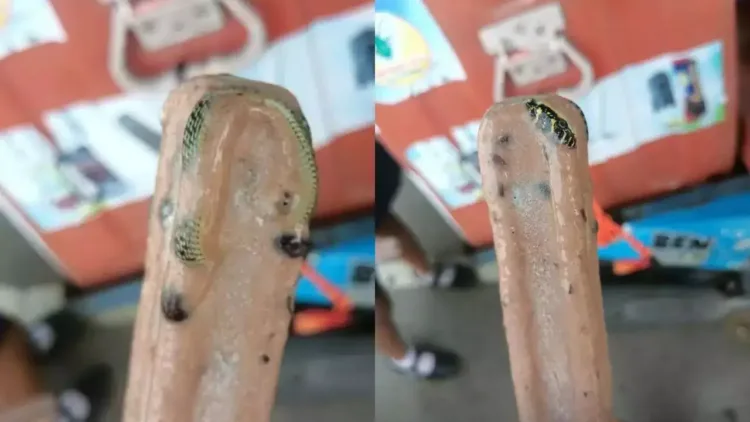 Snake found in ice cream packet viral picture Thailand news