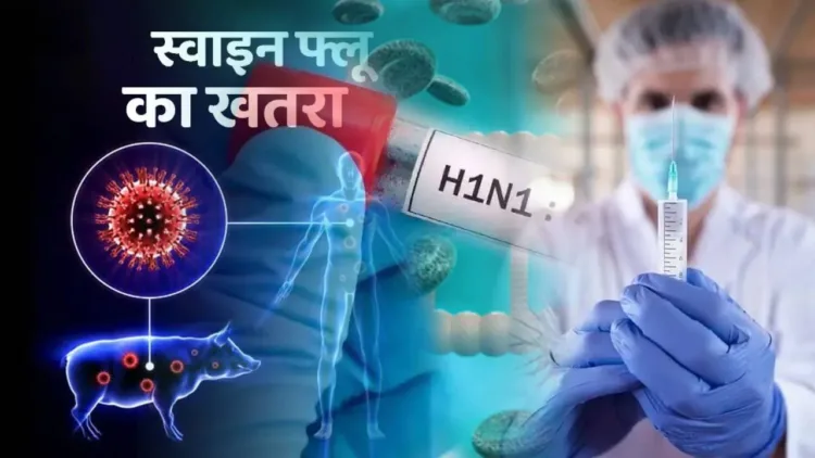 Swine Flu Cases Rising