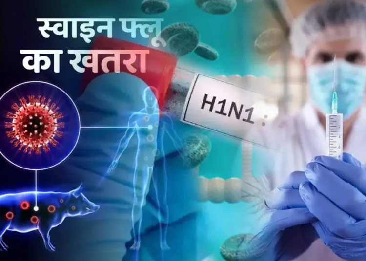Swine Flu Cases Rising