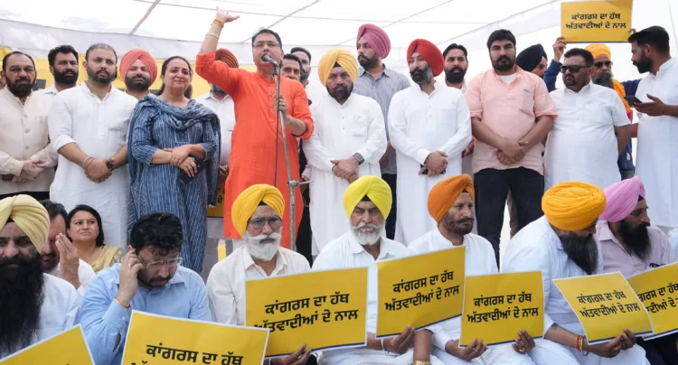 प्रताप बाजवा के खिलाफ ‘आप’ का हल्ला-बोल! हजारों वॉलंटियर्स ने किया जमकर प्रदर्शन 1 Aman Arora