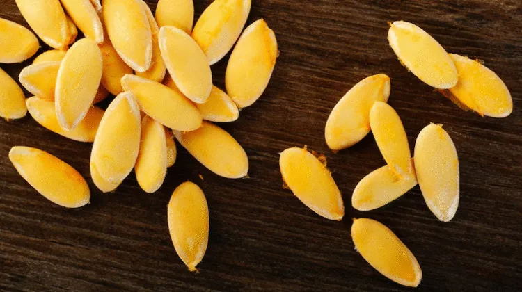 Muskmelon seeds