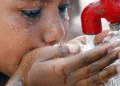 700 people died Last year due to heatwave s