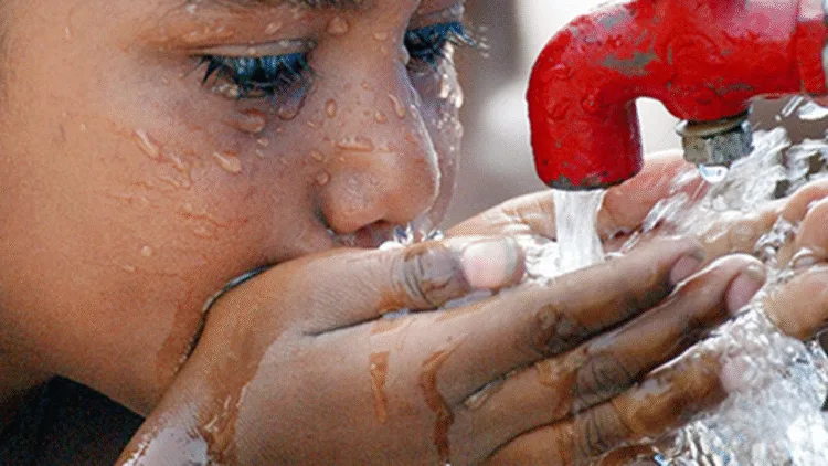 700 people died Last year due to heatwave s