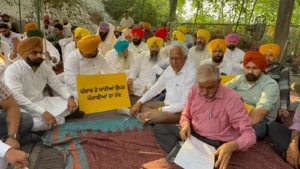 AAP Protest