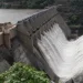 Bhakra dam