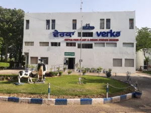 Cattle Feed Factory in Khanna