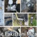 Enemy Pakistani Mirage Destroyed In The Sky Indian Air Force given proof in press briefing