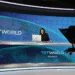 Now India blocks Turkish public broadcaster TRT world social media handle after chinese Global Times