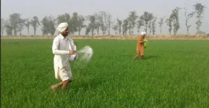 PUNJAB GOVT SETS NEW STANDARDS FOR AGRICULTURAL EDUCATION