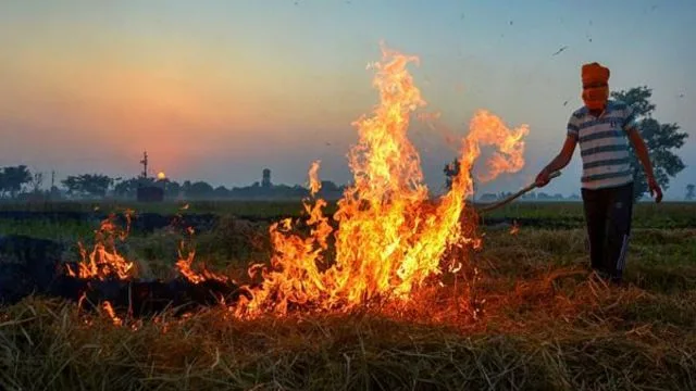 Parali Burning