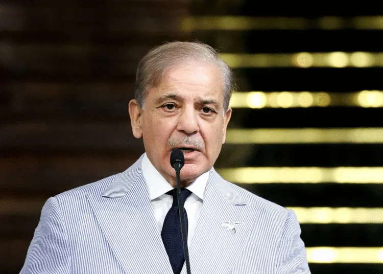 hindu kush glacier could end 75 percent will danger to pakistan says study