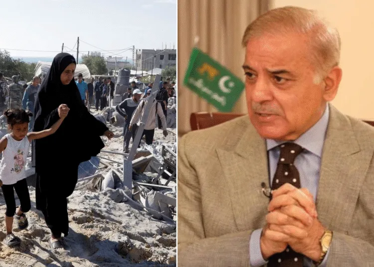 pakistan crying in UNSC meeting over Gaza says cannot seeing dying philistine should do something