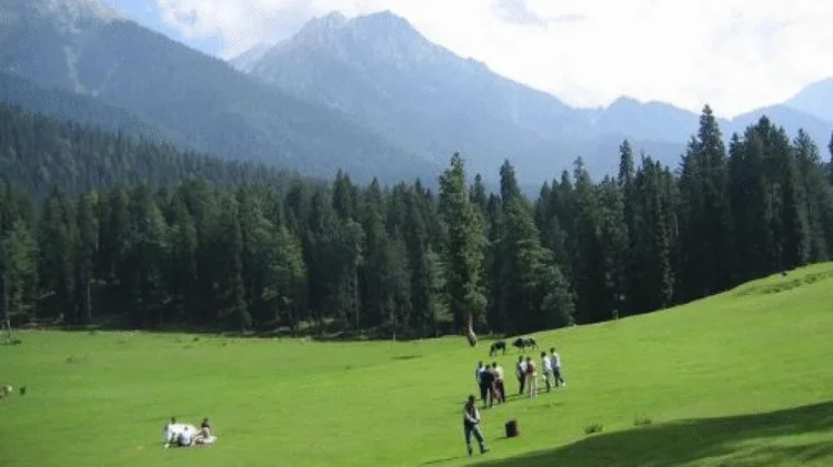 Pahalgam Attack पर Fake Video डालना पड़ा भारी, Gujarat से कारोबारी गिरफ्तार! 1 surat Businessman held for objectionable video on Pahalgam terror attack