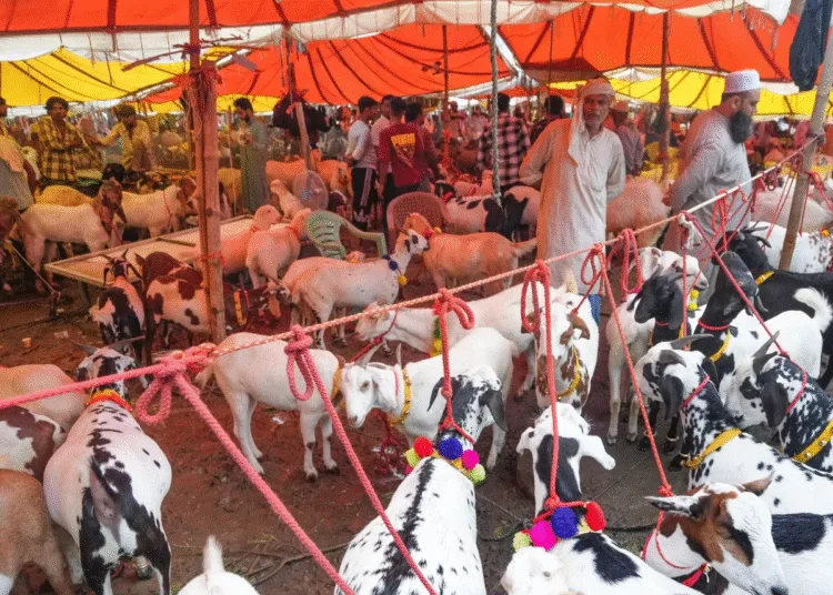 15 lakh rupees goat in delhi allah written on it