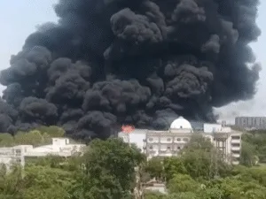 Ahmedabad Air India plane crash blaze reached 1000 degree C even dogs birds could not escape