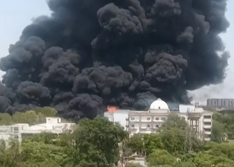 Ahmedabad Air India plane crash blaze reached 1000 degree C even dogs birds could not escape