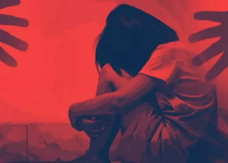 Delhi High Court said hospitals should not insist on ID proof of rape survivors seeking abortion