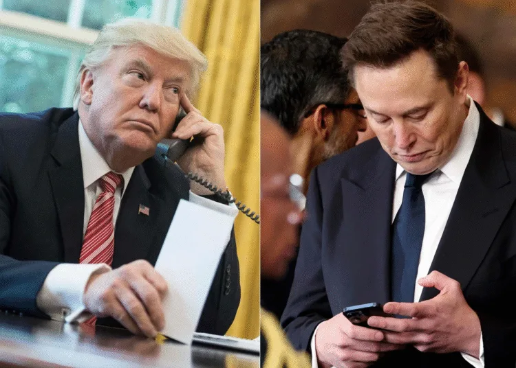 Elon Musk Donald Trump fight Tesla ceo Regrets His Social Media Posts Against US President