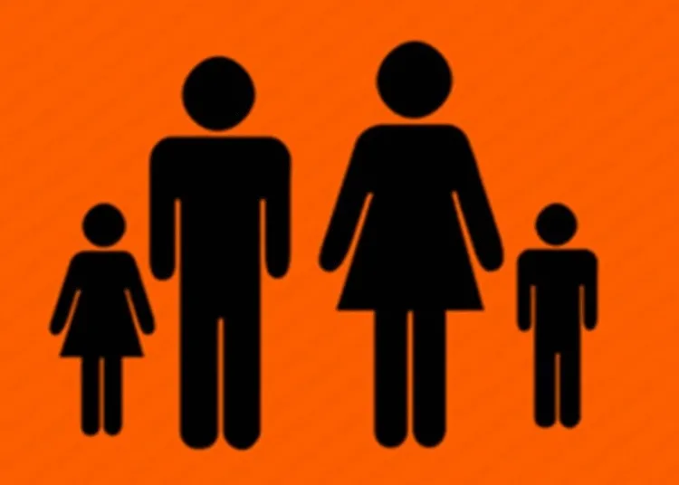 Indian Youths sees job insecurity and housing constraints as concerns in having kids