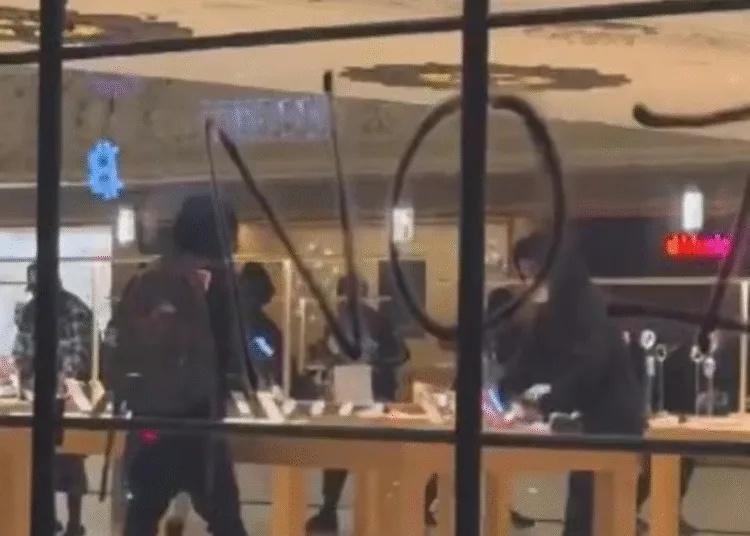 People looted iPhones in Los Angeles protesters vandalized Apple Store