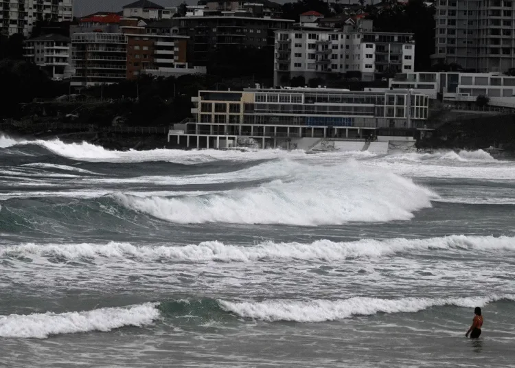 Scary to even fall asleep Why Panic in Japan over 1000 earthquakes Baba Vanga mystic