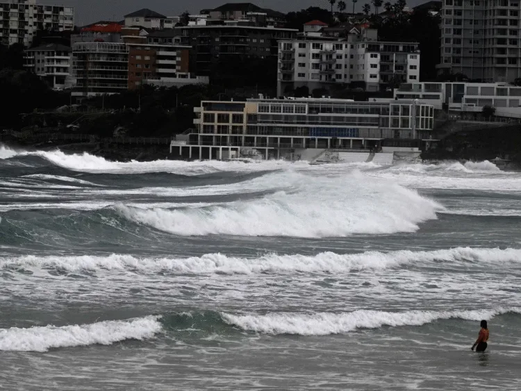 Scary to even fall asleep Why Panic in Japan over 1000 earthquakes Baba Vanga mystic