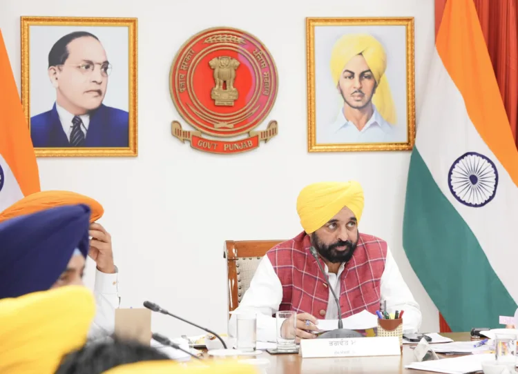 नकली बीजों की बिक्री गैर-जमानती अपराध होगी; मुख्यमंत्री के नेतृत्व में कैबिनेट ने लगाई मुहर 1 cm mann