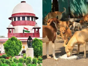 I Will Look Into This supreme court Chief Justice On Stray Dogs order