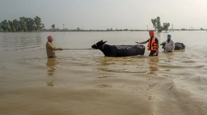 Punjab Weather Alert: सतलुज में बहे 50 लोग, बांधों का जलस्तर खतरनाक स्तर पर! 1 Punjab Weather ; Monsoon Movement Rainfall Dams Water Level