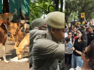 delhi police filed case on animal rights activists who protest against sc order on stray dogs