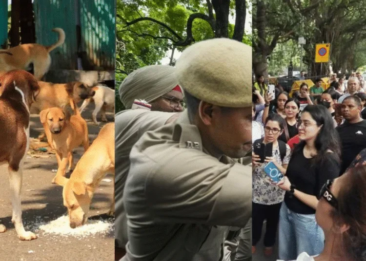 delhi police filed case on animal rights activists who protest against sc order on stray dogs