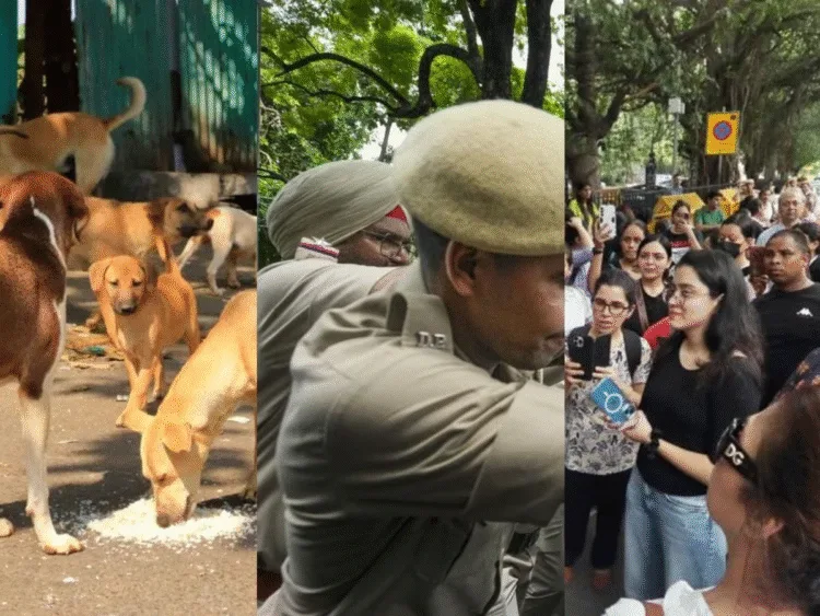 delhi police filed case on animal rights activists who protest against sc order on stray dogs