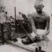 why mahatma gandhi gives permission to kill 60 rabid dogs detail story