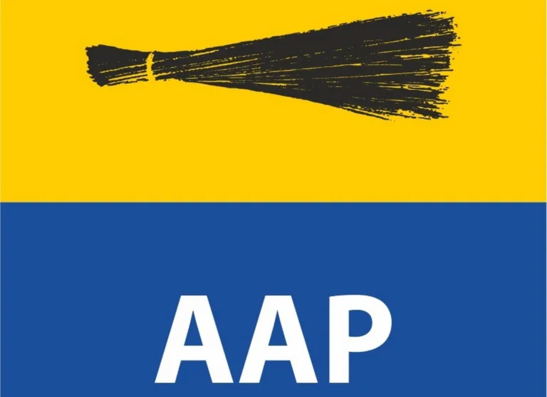 AAP Logo