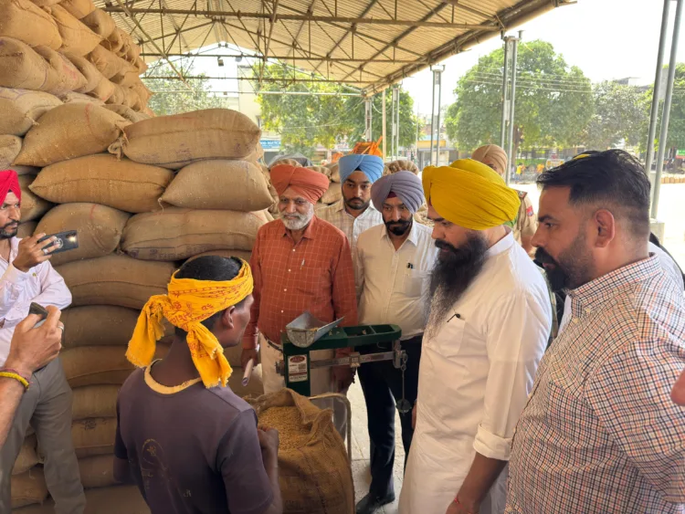 सांसद मलविंदर सिंह कंग ने खरड़ मंडी और तहसील कार्यालय का दौरा किया 1 Malvinder Kang