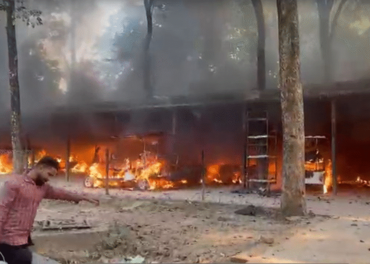 Chhatbir Zoo Electric Vehicles Caught Fire