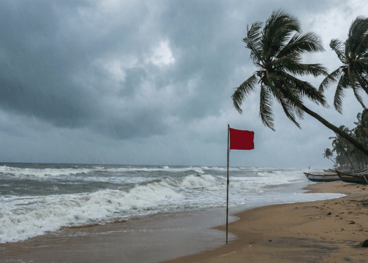 Cyclone Vitwah Update