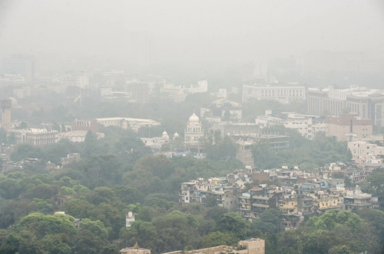 Delhi Air Pollution Report